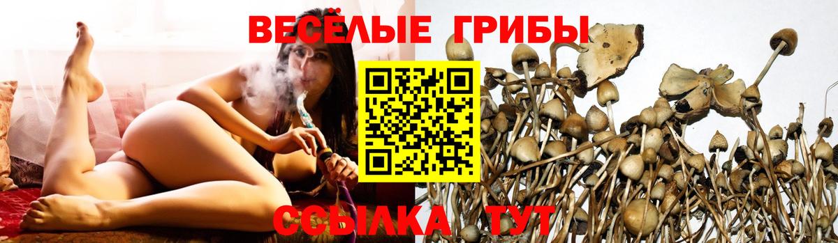 Псилоцибиновые грибы GOLDEN TEACHER  Вход с VPN  Нижневартовск  Псилоцибиновые грибы ЛСД 